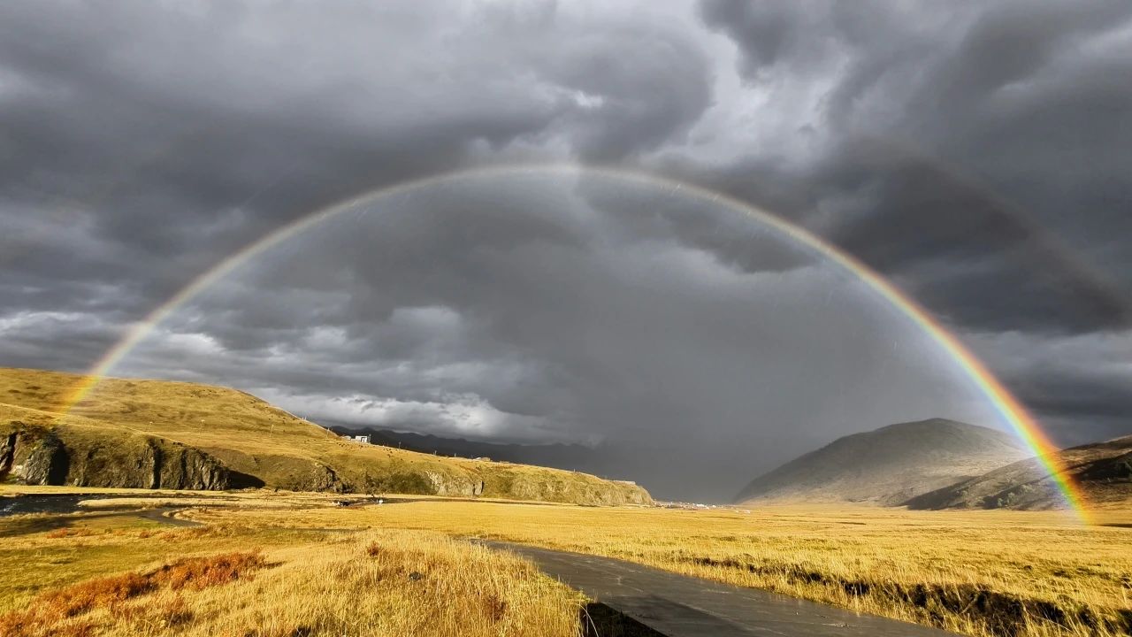 1735012918552398.jpg 1735012918552398.jpg