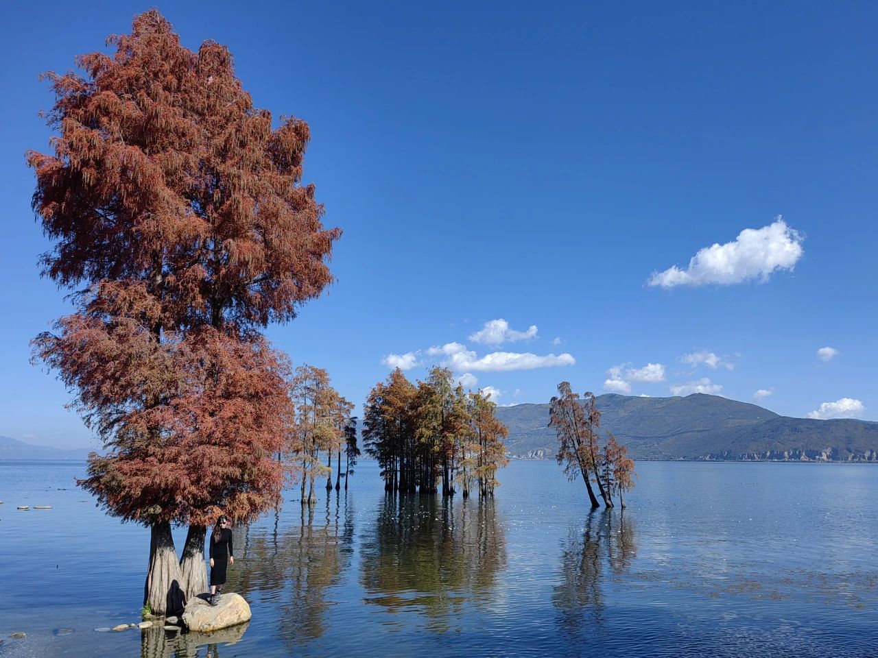 1735012964782532.jpg 1735012964782532.jpg